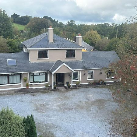 コーク Davmar House Blarneyゲストハウス エクステリア 写真