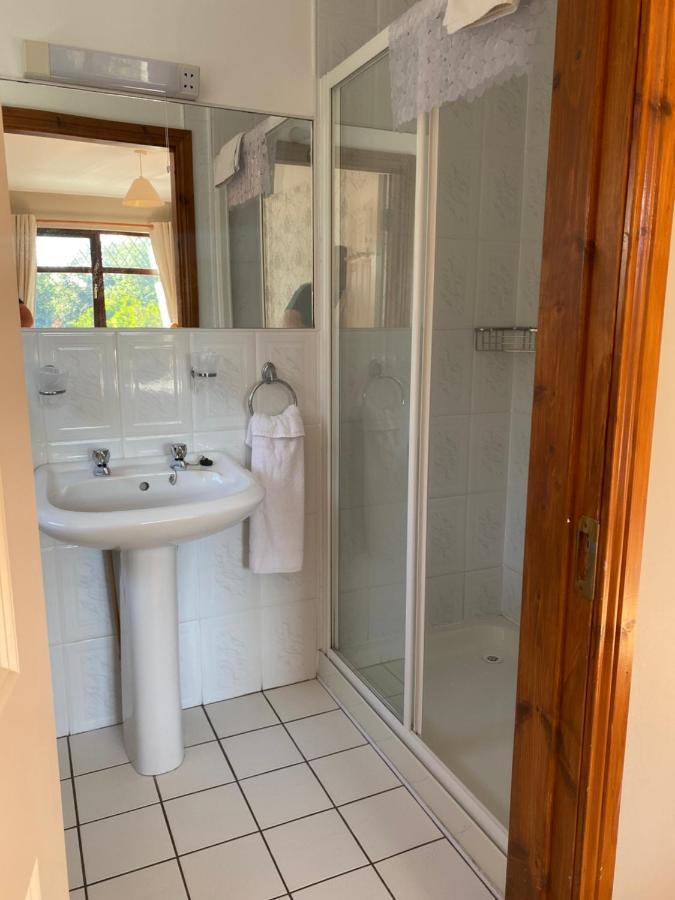 コーク Davmar House Blarneyゲストハウス エクステリア 写真