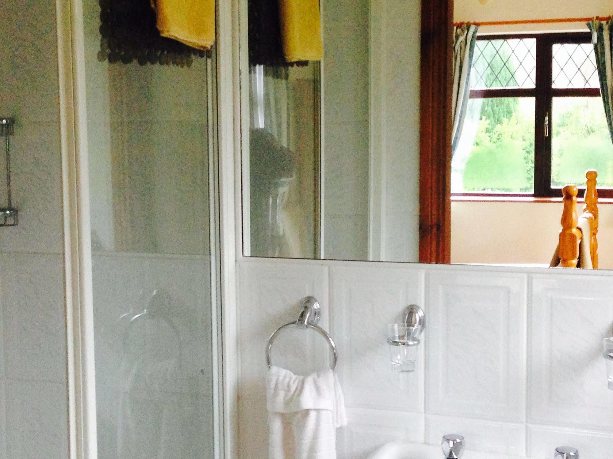 コーク Davmar House Blarneyゲストハウス エクステリア 写真