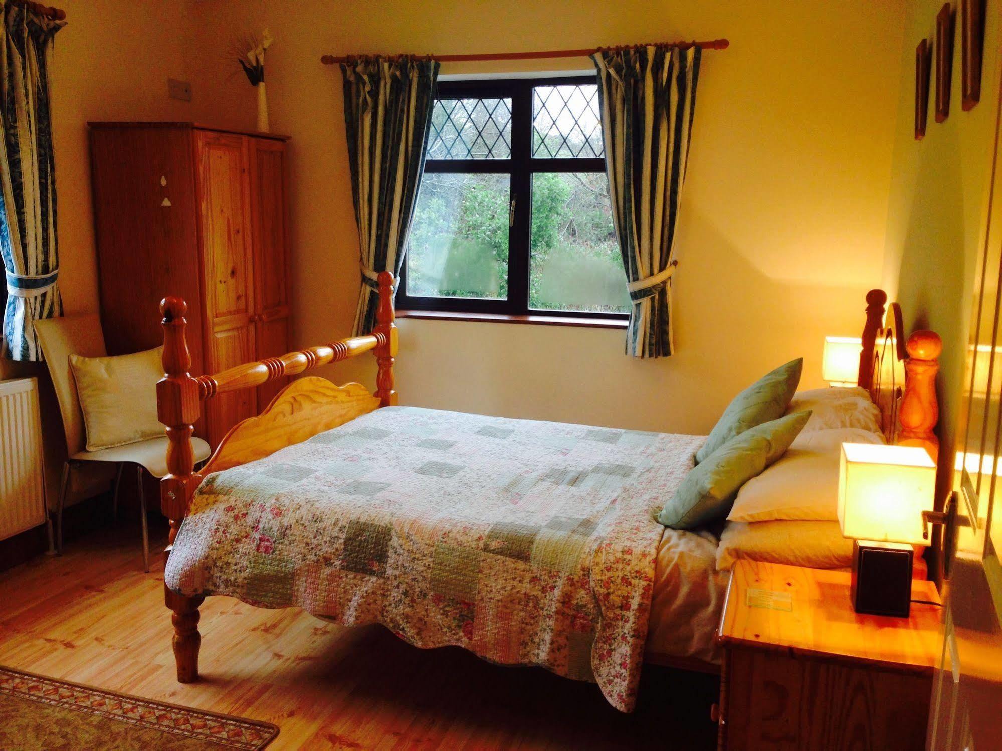 コーク Davmar House Blarneyゲストハウス エクステリア 写真