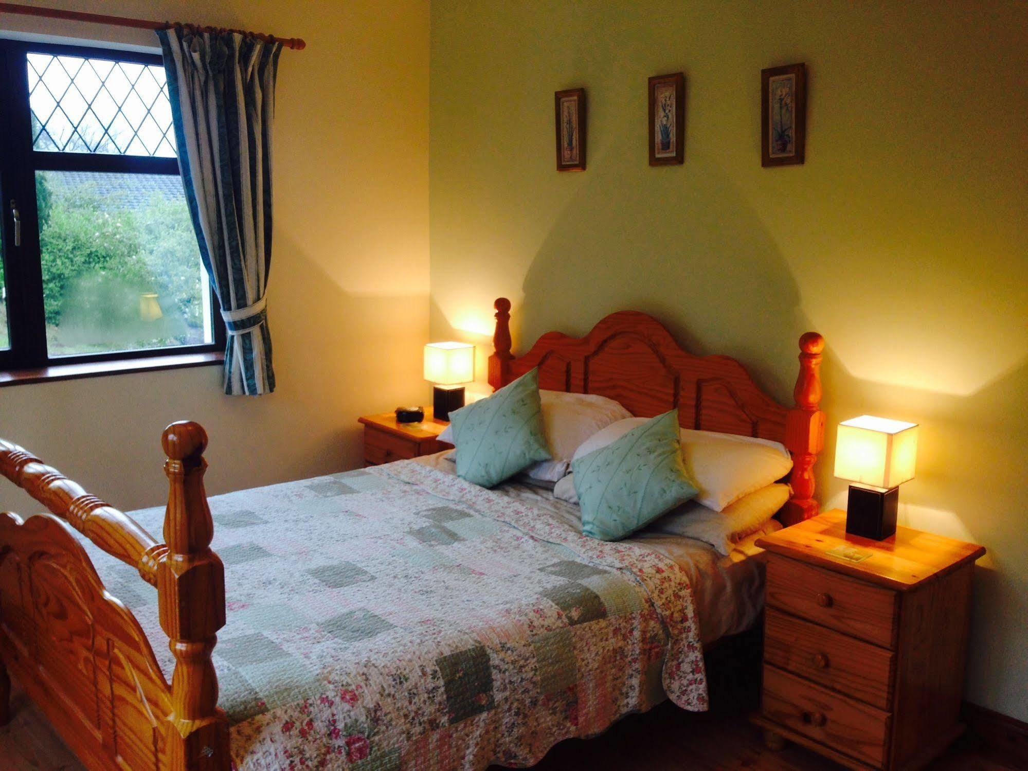 コーク Davmar House Blarneyゲストハウス エクステリア 写真
